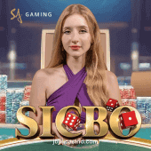Msicbo Dice Game at jb casino